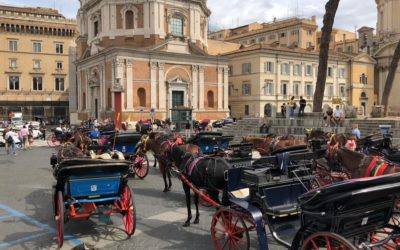 Botticelle, è guerra di ricorsi: bloccata anche la terza ordinanza anticaldo