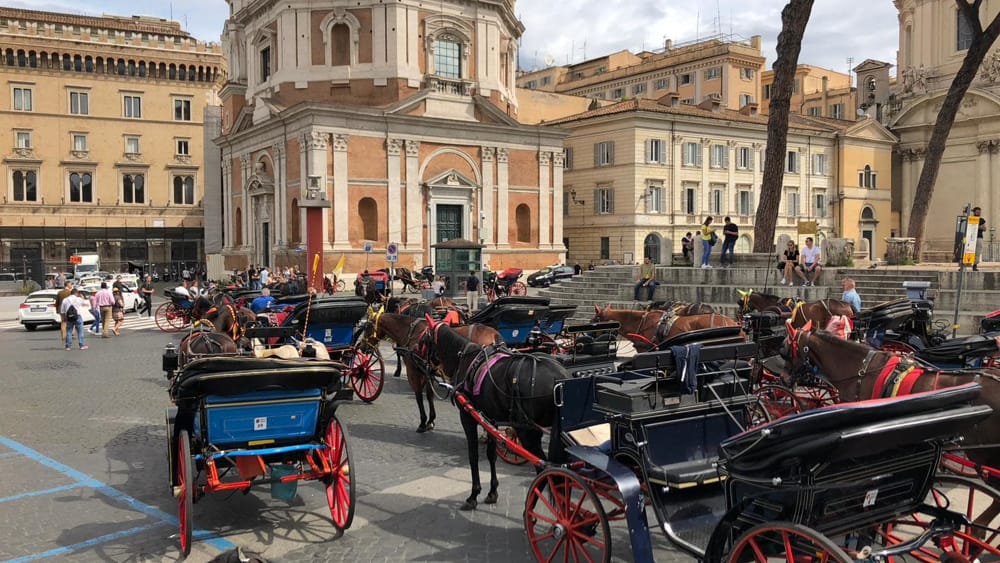 Botticelle, è guerra di ricorsi: bloccata anche la terza ordinanza anticaldo