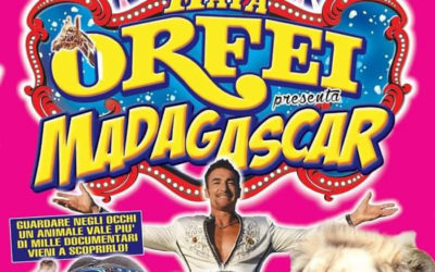 Il ruggito del circo Madagascar e la magra figura del Comune di Milano