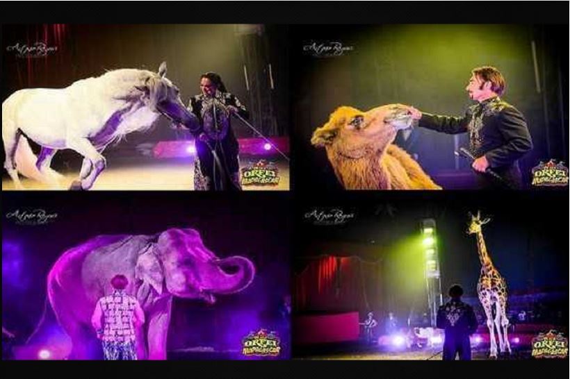 Sentenza storica a favore del Circo Madagascar e dell’intera arte circense